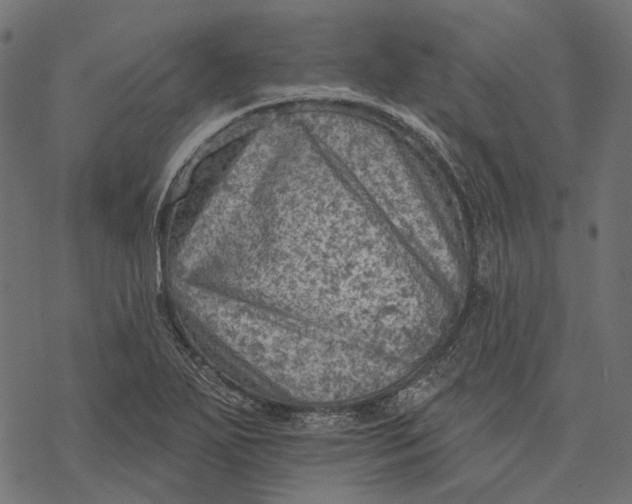 X0000077321271200611031656