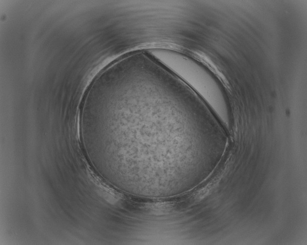 X0000077321276200611031656