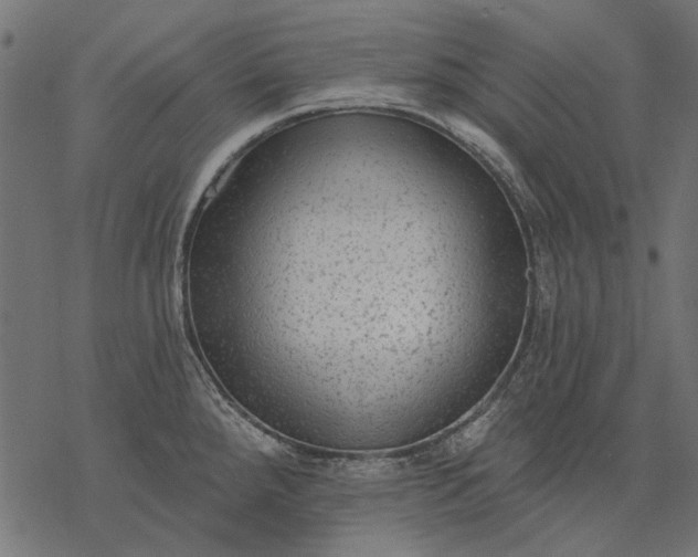 X0000077321288200611031656