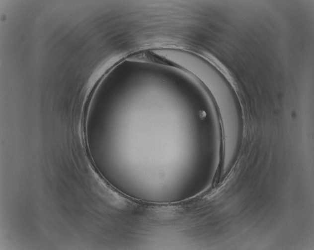 X0000077321293200611031656