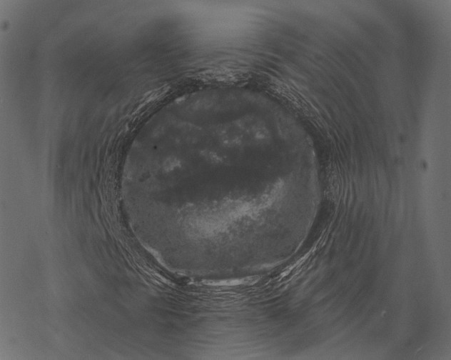 X0000077321297200611031655