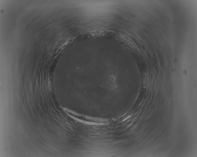 X0000077321298200611031655