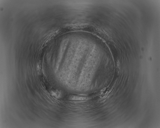X0000077321300200611031655