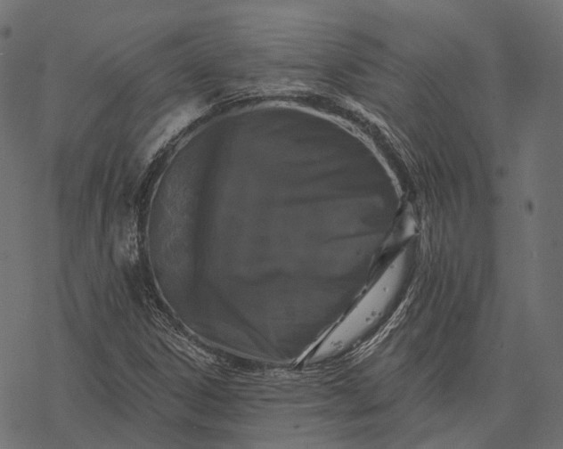 X0000077321306200611031655