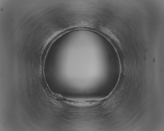 X0000077321316200611031655
