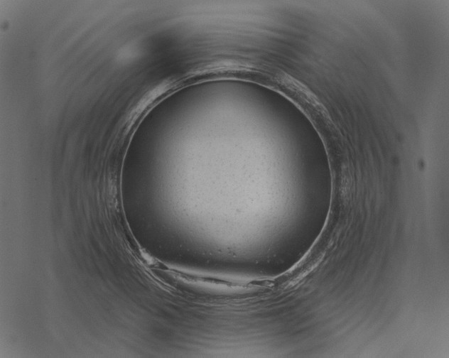 X0000077321321200611031655