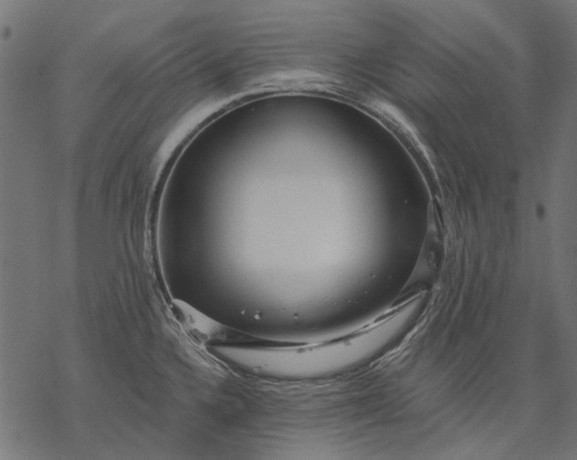 X0000077321336200611031656