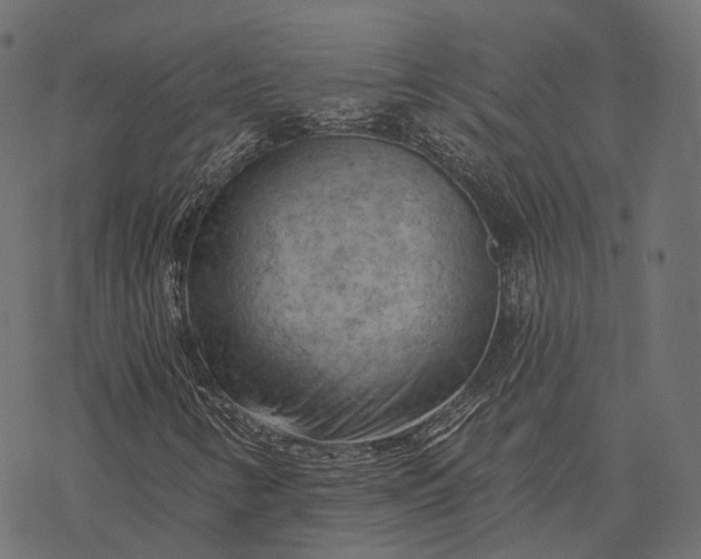 X0000077321346200611031655