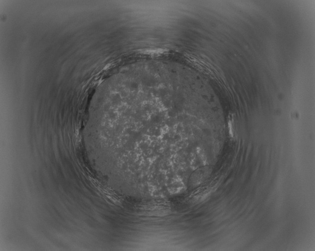 X0000077321347200611031655