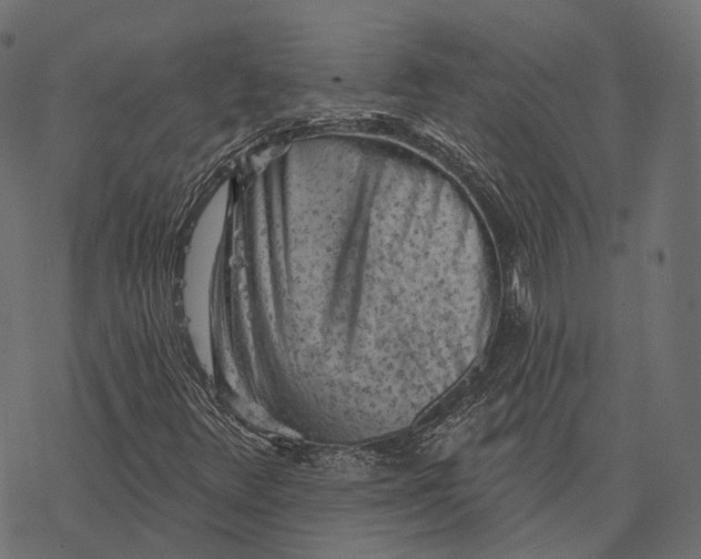 X0000077321348200611031655