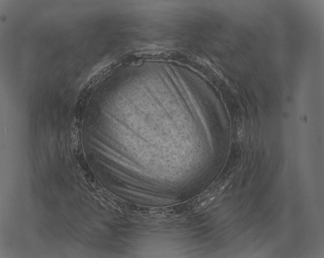 X0000077321350200611031655