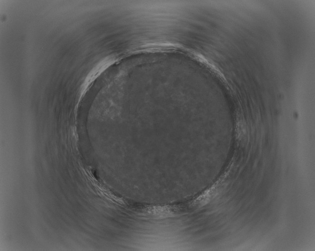 X0000077321362200611031655