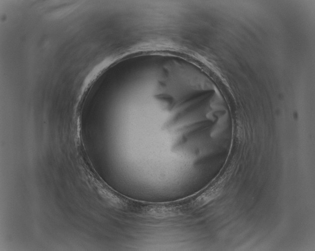X0000077321366200611031655