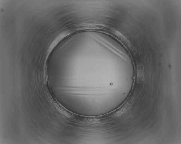 X0000077321370200611031655