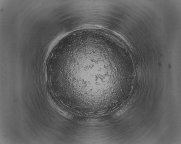 X0000077321371200611031655
