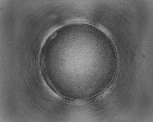 X0000077321392200611031654