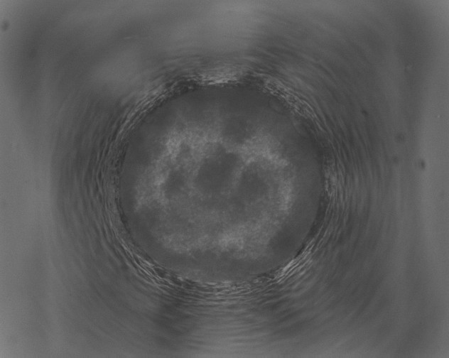 X0000077321393200611031653