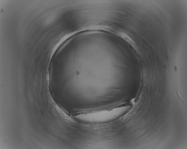 X0000077321428200611031654