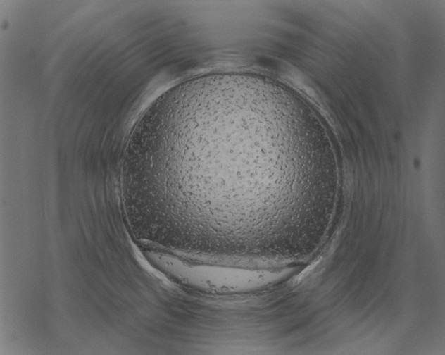 X0000077321433200611031654