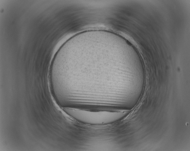 X0000077321440200611031654