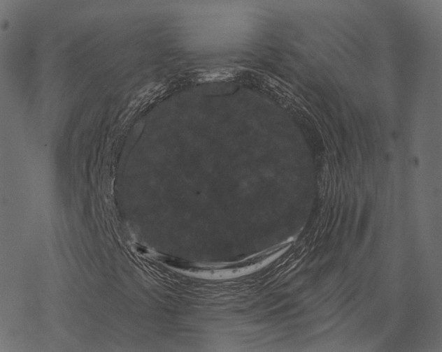 X0000077321441200611031653