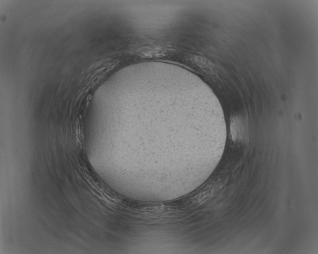 X0000077321444200611031653