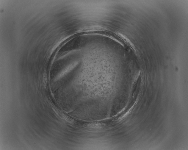 X0000077321457200611031653