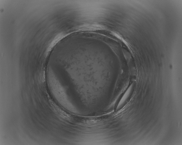 X0000077321459200611031653