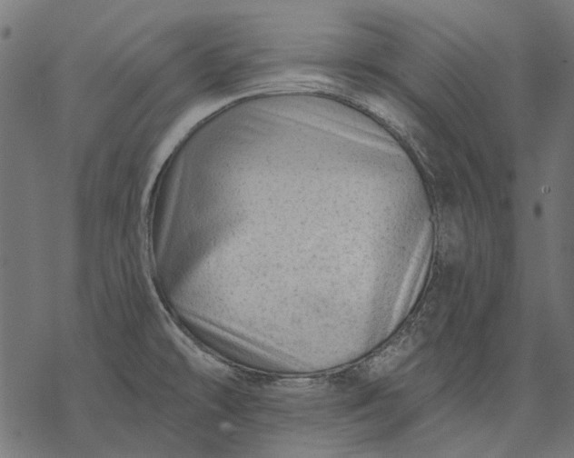 X0000077321478200611031653