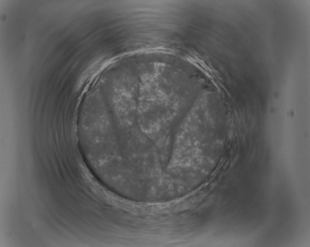 X0000077320002200611101510