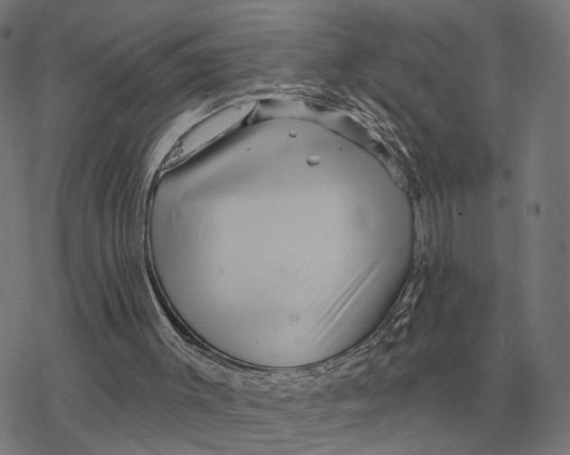 X0000077320003200611101510