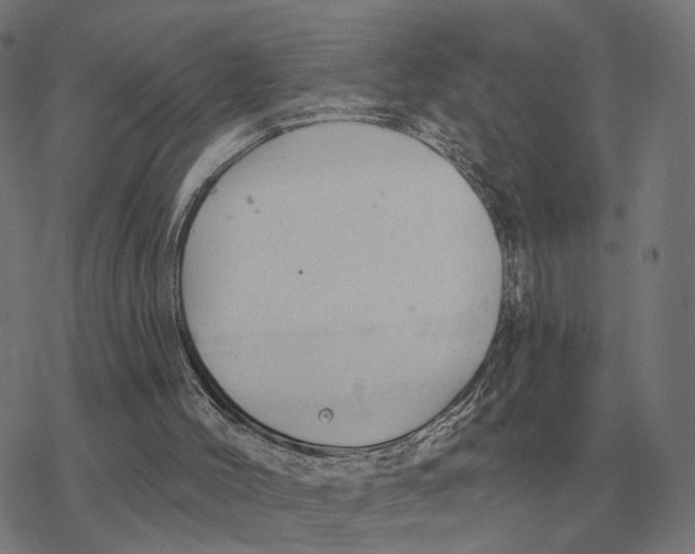 X0000077320004200611101510