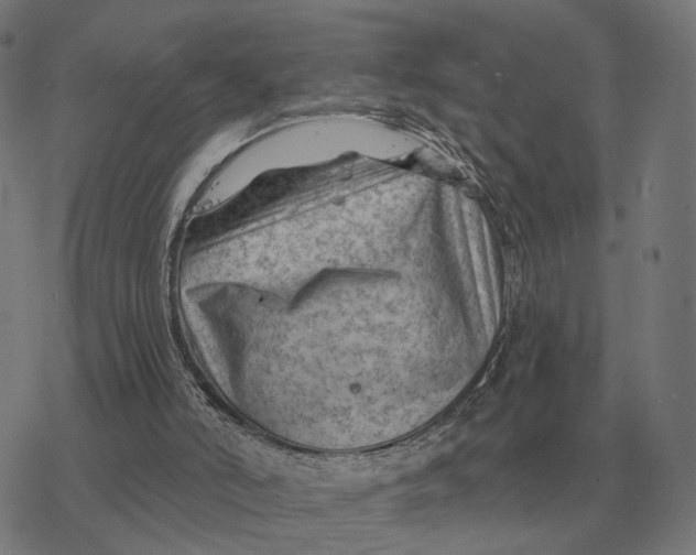 X0000077320006200611101510