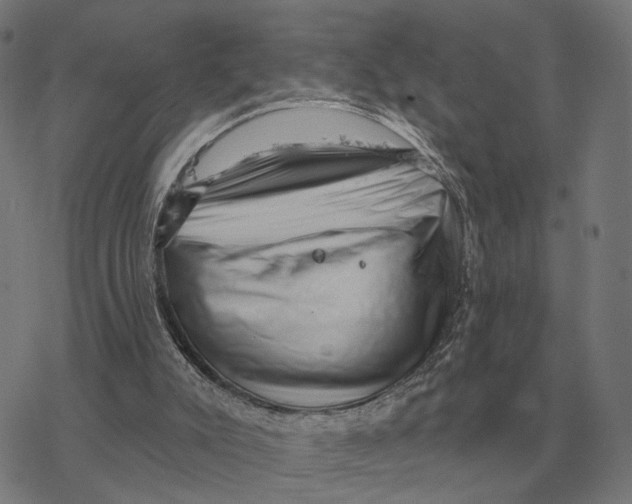 X0000077320007200611101510