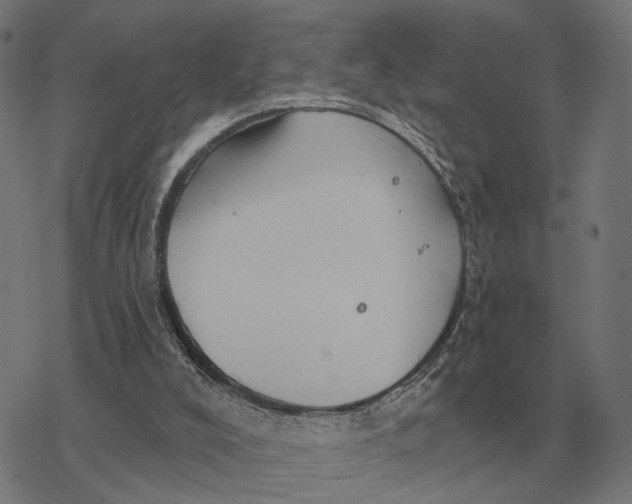 X0000077320008200611101510