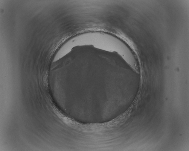 X0000077320009200611101510