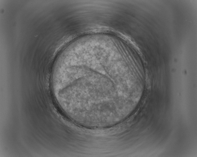 X0000077320010200611101510