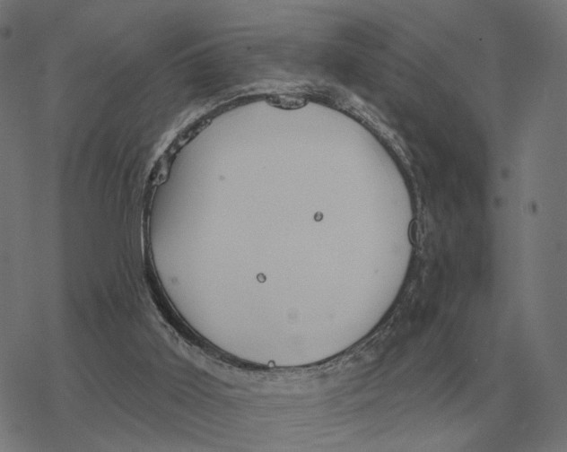 X0000077320011200611101510