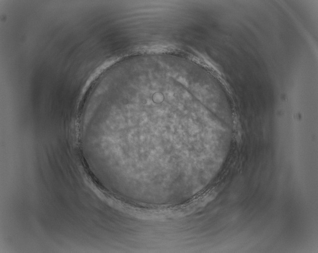 X0000077320012200611101509