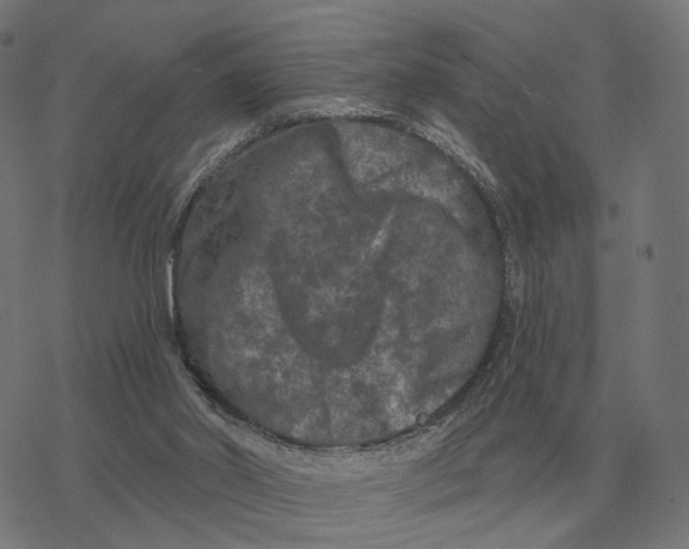 X0000077320014200611101509