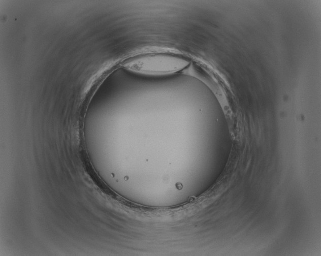 X0000077320015200611101509