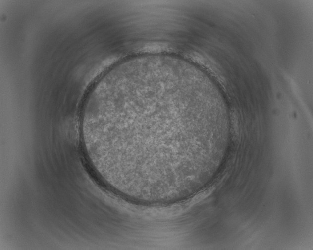 X0000077320016200611101509