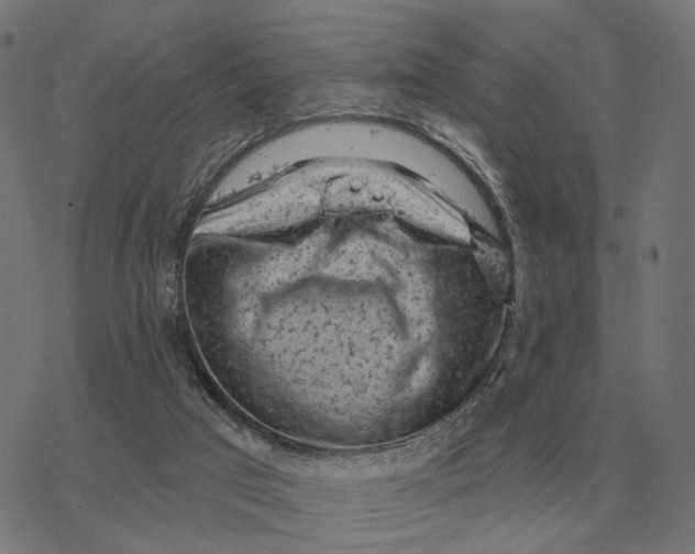 X0000077320017200611101509