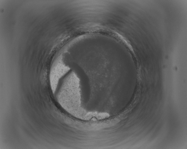 X0000077320018200611101509