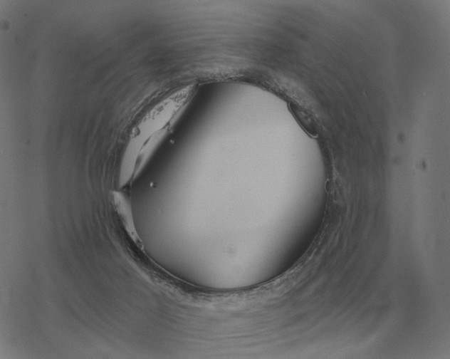 X0000077320021200611101509