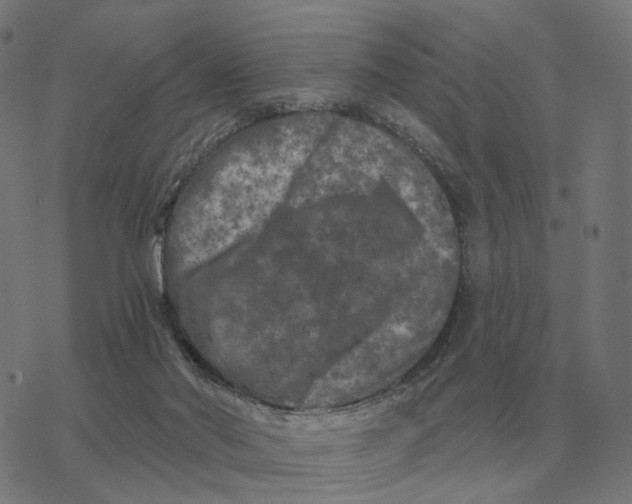 X0000077320022200611101509