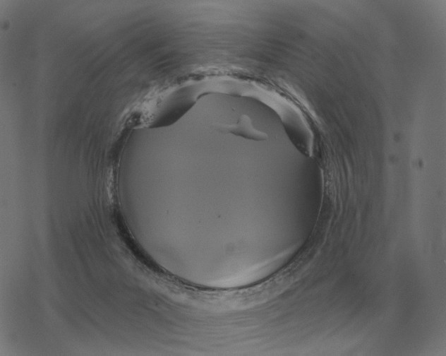 X0000077320023200611101509