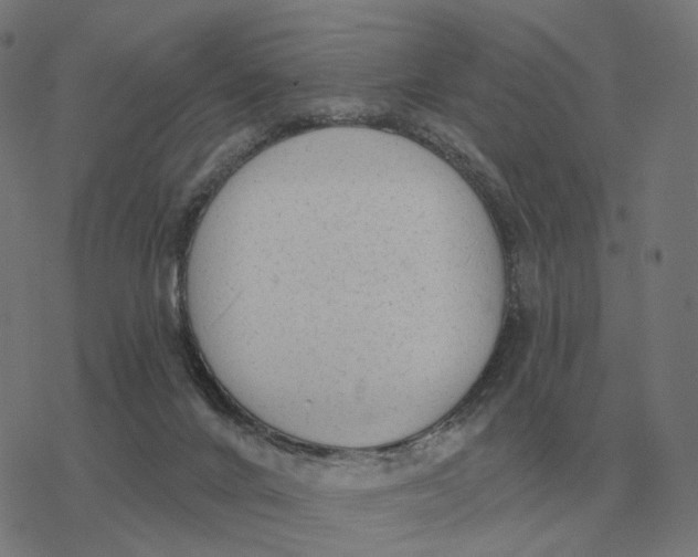 X0000077320024200611101509