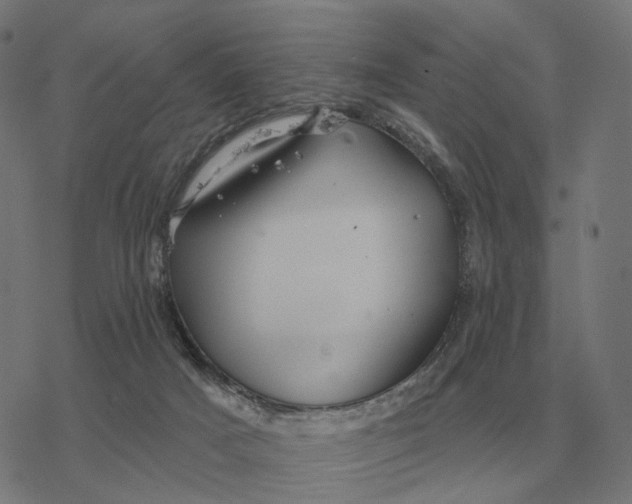 X0000077320025200611101509