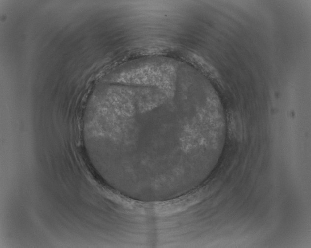 X0000077320026200611101509